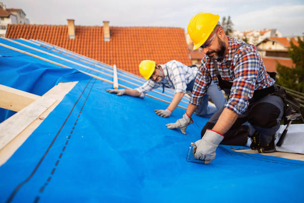 Best Storm Damage Roof Repair  in Troy, TN